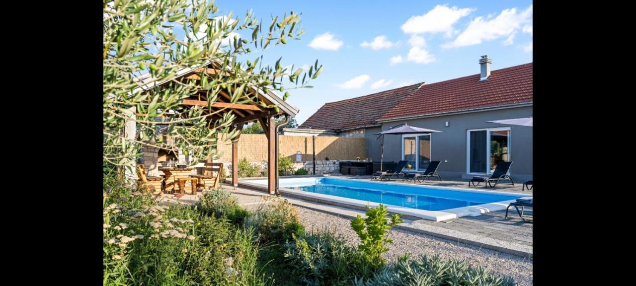 Villa Olive Tree House With Jacuzzi, Wifi And 40M2 Pool Siritovci Exterior foto